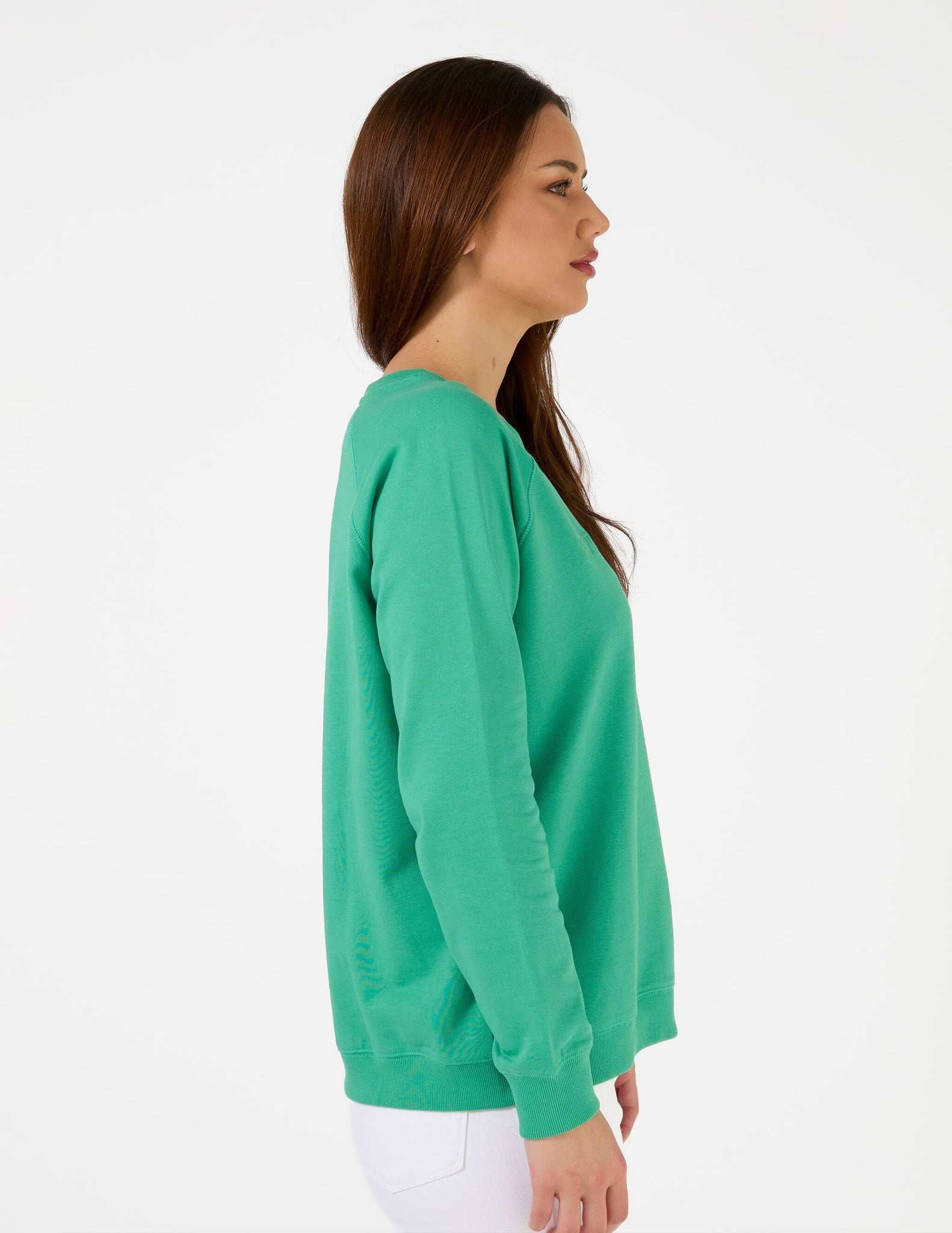 Classic Sweater Logo Mint