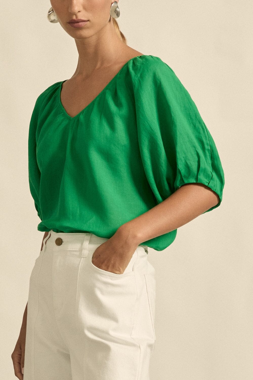 Trace Top Parrot