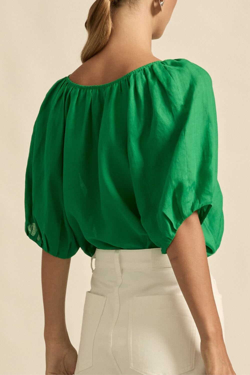 Trace Top Parrot